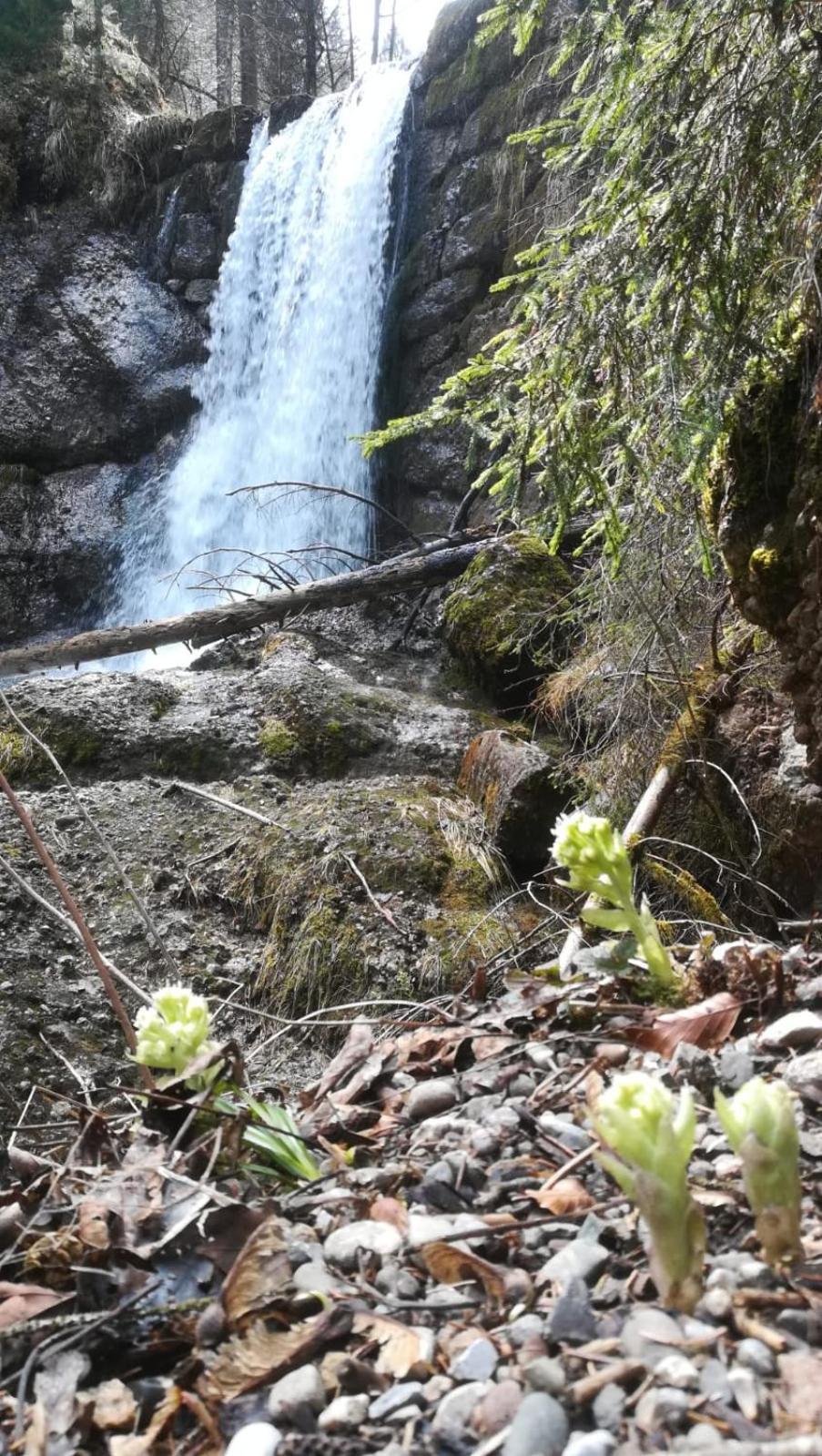 Ferienwohnung Alpenfreude Missen-Wilhams Exteriér fotografie