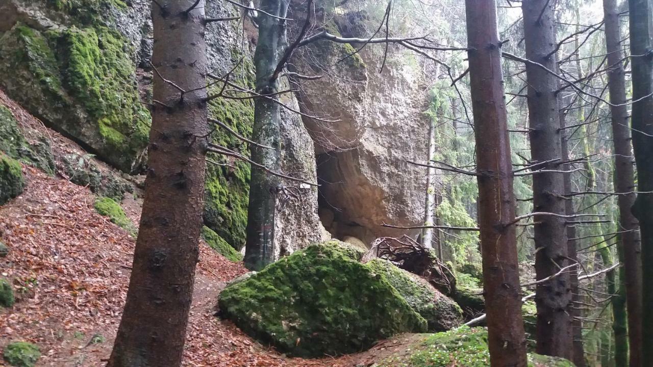 Ferienwohnung Alpenfreude Missen-Wilhams Exteriér fotografie