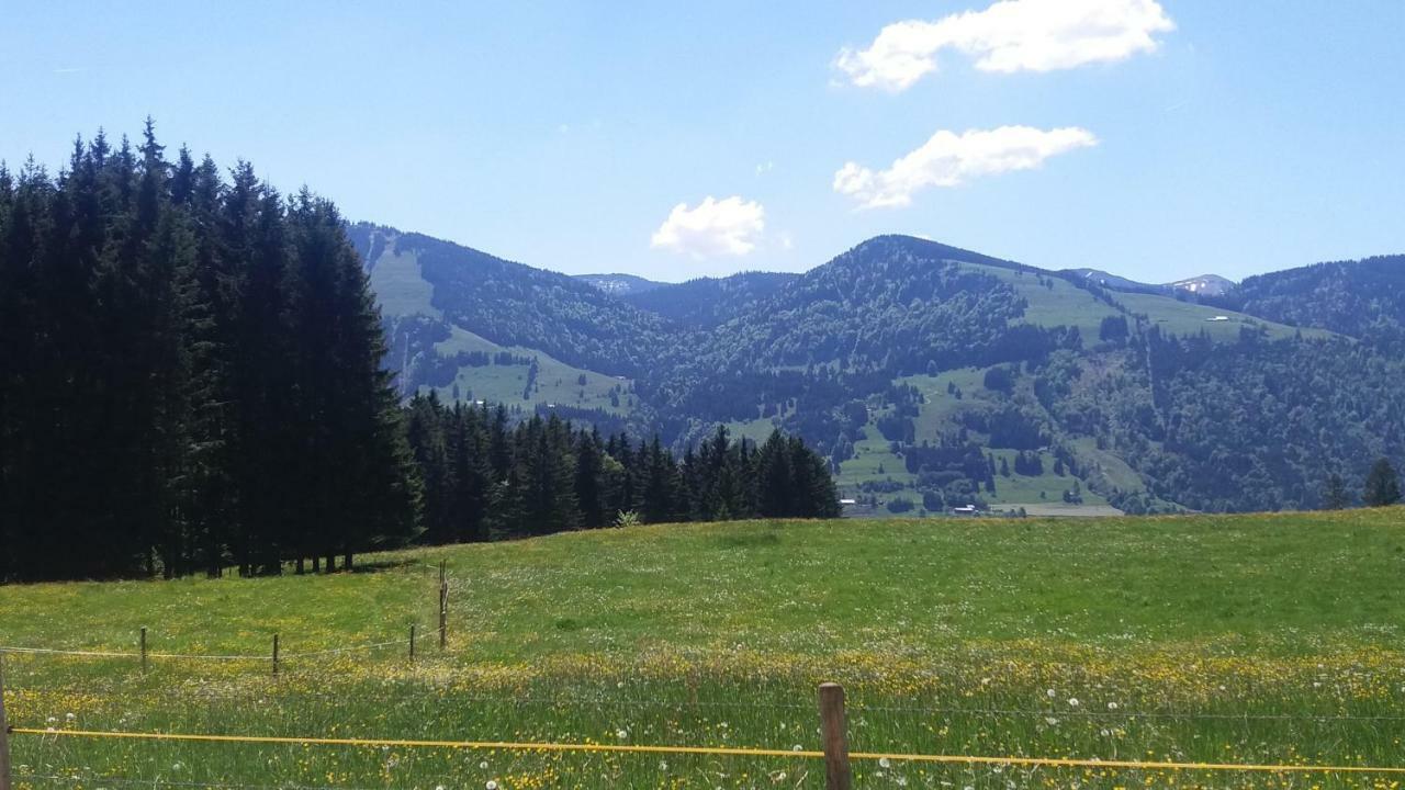 Ferienwohnung Alpenfreude Missen-Wilhams Exteriér fotografie