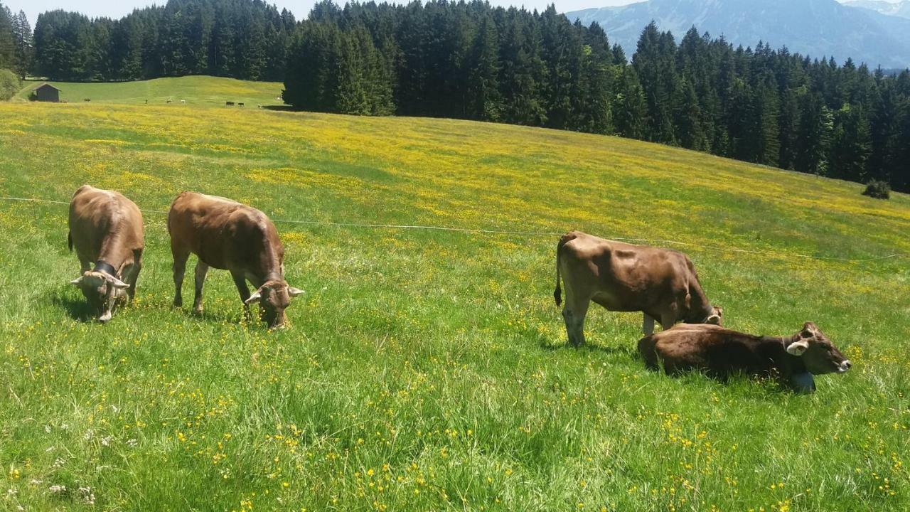 Ferienwohnung Alpenfreude Missen-Wilhams Exteriér fotografie