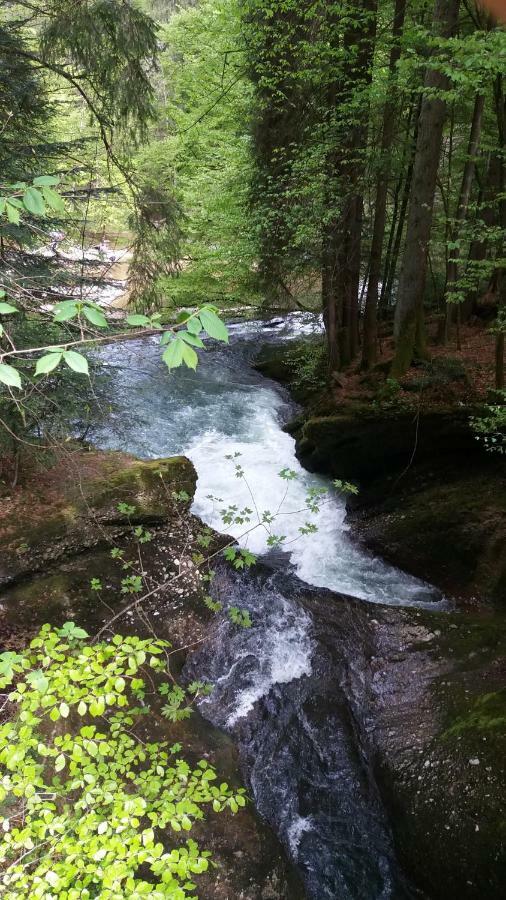 Ferienwohnung Alpenfreude Missen-Wilhams Exteriér fotografie